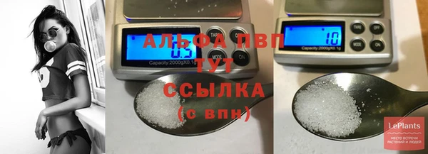 сатива Бородино