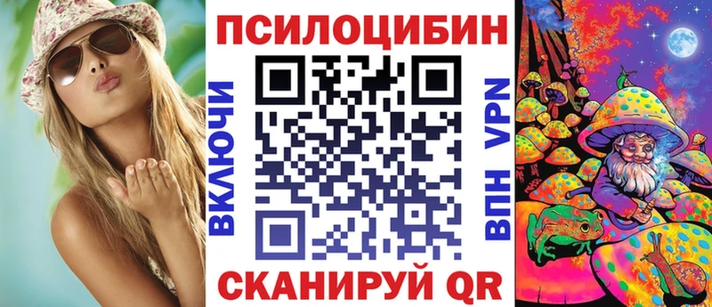 что такое   Неман  Галлюциногенные грибы Psilocybe 